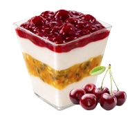 Berry Yogurt